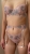 Harness Lila